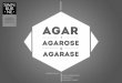 Aquatic talk: Agar, agarose and agarase
