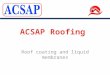 Roof coating and liquid membranes