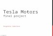 Ievgeniia iakovleva tesla-motors-final project