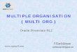 All About Multi Organization Access