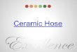 Ceramic Lined Hose