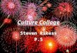 Culture Collage Steve R