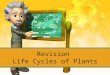 Revision- Life Cycle of Plants 2nd March