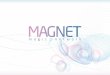 Magnet 2014 new