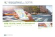 Big Data and Transport Understanding and assessing options
