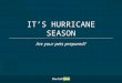 Hurricane Pet Preparedness