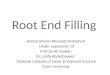 Root end filling