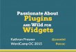 Passionate About Plugins and Wild for Widgets