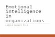 Emotional intelligence in organizations