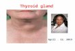 Thyroid gland dr. faeza patho