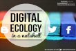 From the Evolution of Online Social Networks to Digital Ecology in a Nutshell