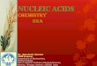 Nucleic acid chemistry na 02