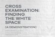 Cross Examination: Finding the White Space [A Demonstration]