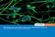 Brochure - BD Biosciences Neuroscience Research Source