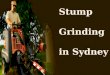 Stump Grinding in Sydney
