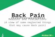 Back Pain Reasons and Precautions - Healmor Oil
