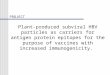 Plant-produced subviral HBV particles as carriers for antigen protein epitopes for the purpose of vaccines