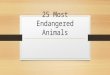 25 most endangered animals powerpoint