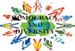 democracy and diversity