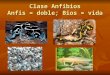 Clase anfibios 2014