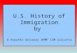 Usa immigration-2015