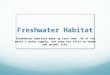 Freshwater Habitat