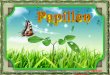 Butterflies with animations-widescreen