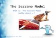 The Serrano-Model - Overview & Highlights for busy business owners