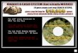 The Automatic Cash Cd Rom Video Advertisment