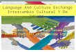 Language and culture virtual exchange