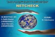 Netcheck- Bachelor of Engineering Final Year Project
