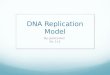 Dna replication model