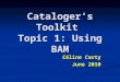 Cataloger's Toolkit Topic 1: Using BAM on bibliographic records