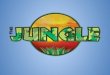 Based on jungle theme restaurant in oman