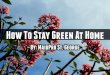 How To Stay Green At Home