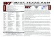 WT Volleyball Game Notes 11-17