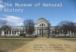 The museum of natural history - mcglame/mcbrien