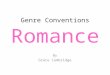 Conventions of a Romance FIlm