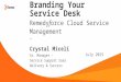 Branding your Remedyforce ITSM (Service Management)