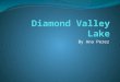Diamond valley lake power