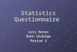 Statistics questionnaire By Bonn Hidalgo and Luis Nunez