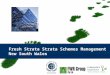 Strata schemes management act new south wales presentation fresh strata