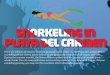Snorkeling In Playa Del Carmen Infographic Slideshow