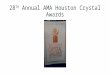 28th Annual AMA Houston Crystal Awards