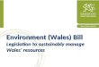 WG Presentation on the Environment Jill - joining up new legislation