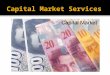 Capital market services