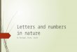 Letters and numbers in nature 2 (1)