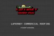 LaFerney Commercial Roofing: a brief overview