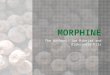 Addictive substances - Morphine