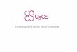UgCS for Professionals